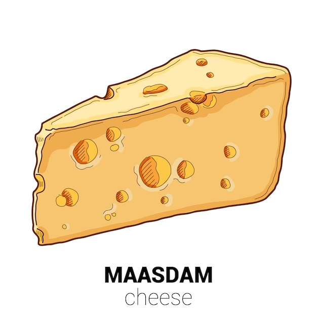 Illustration Vectorielle Colorée De Fromage De Vache Maasdam