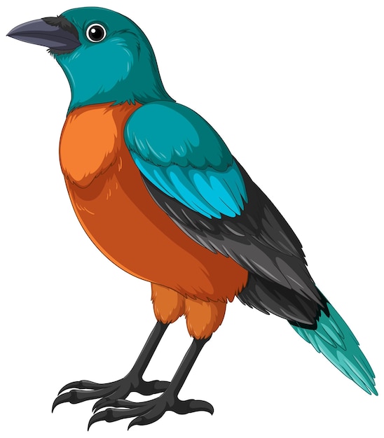 Une illustration vectorielle colorée d'un oiseau