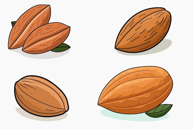 Illustration Vectorielle De La Conception De La Noix D'amande