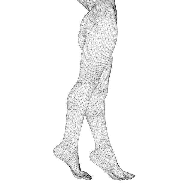 Illustration vectorielle d'un corps humain Jambes féminines sous la forme d'un maillage triangulaire tridimensionnel