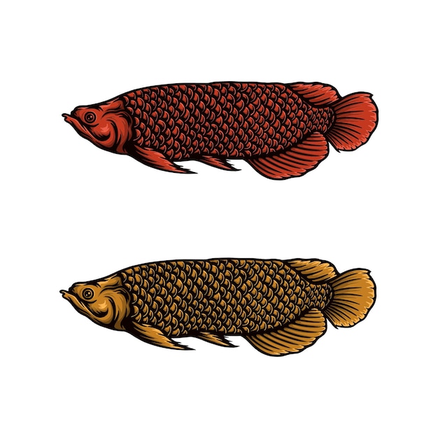 Illustration Vectorielle De Couleur Poisson Arowana