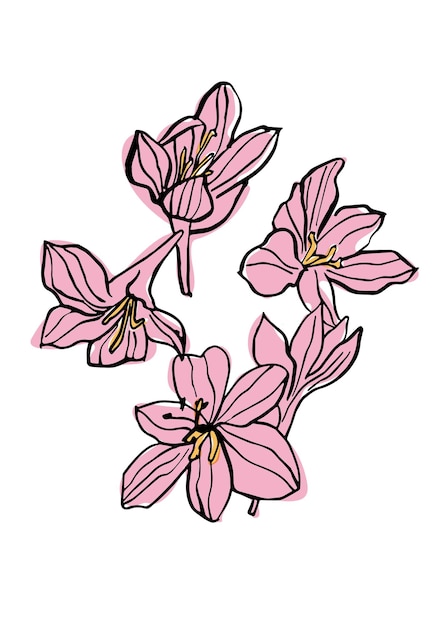 Illustration Vectorielle Croquis Coloré Avec Des Fleurs De Magnolia Roses Art Pour Pour Les Impressions Art Mural Arrière-plan De Bannière
