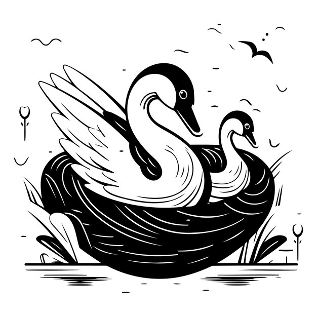 Illustration Vectorielle D'un Cygne Sur Le Fond D'un Coucher De Soleil