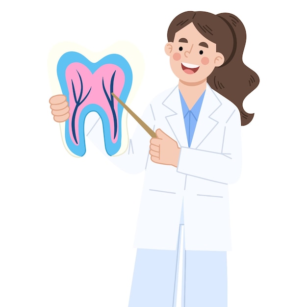 Illustration vectorielle d'un dentiste expliquant les dents