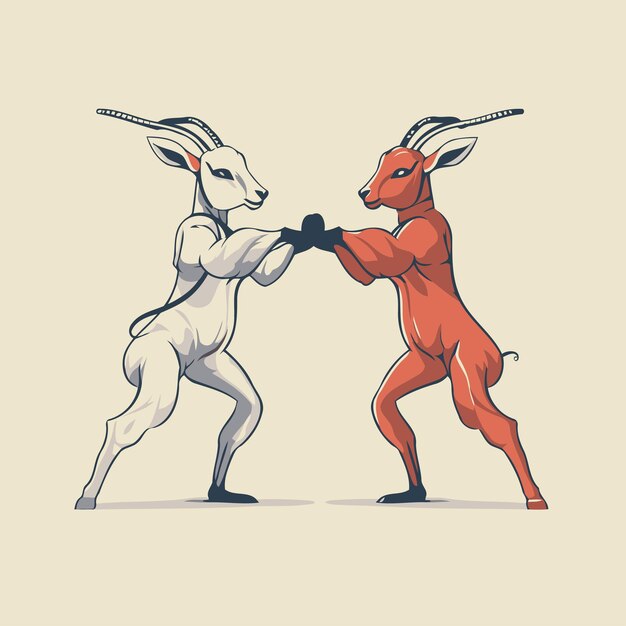 Vecteur illustration vectorielle de dessin animé de boxe d'antilope isolée sur fond blanc combat d'antilopes