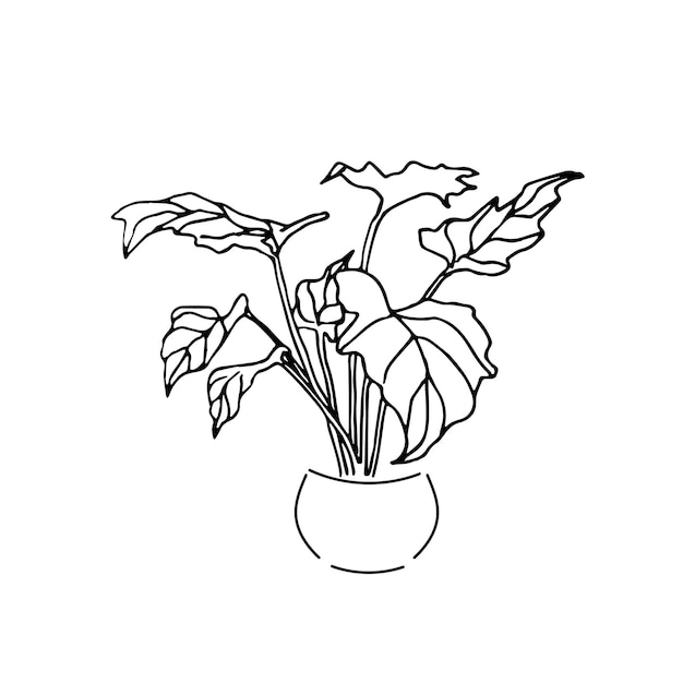 Vecteur illustration vectorielle dessin ligne maison plante philodendron sur fond blanc