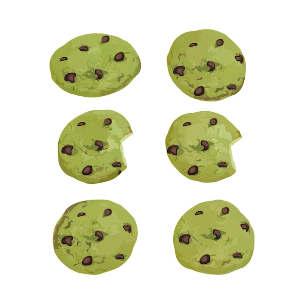 Vecteur illustration vectorielle dessinée à la main de biscuits de matcha ou de thé vert avec des éclats de chocolat dessus