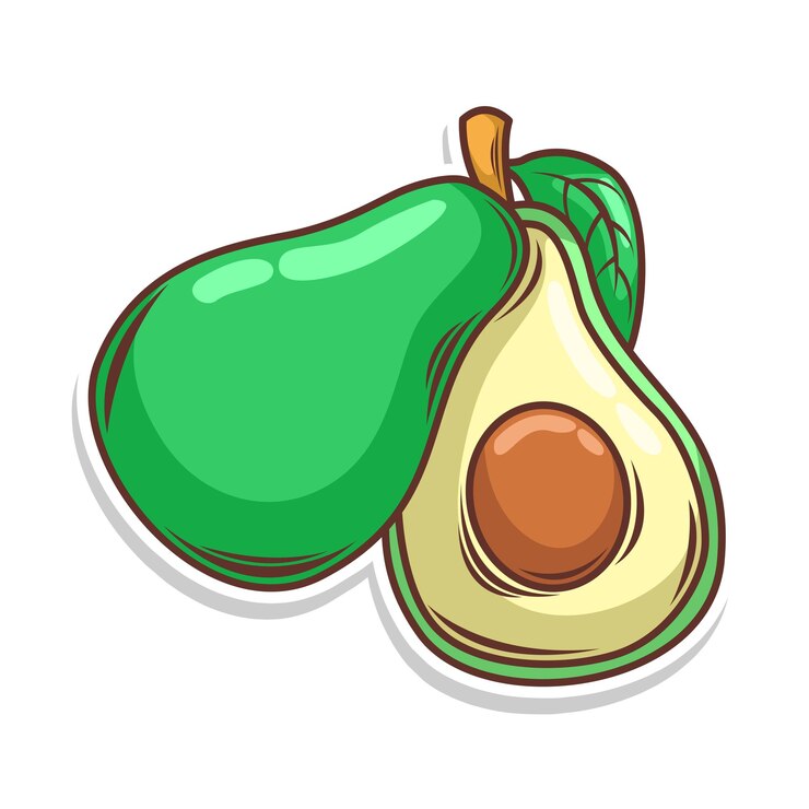 Vecteur illustration vectorielle dessinée à la main du fruit d'avocat