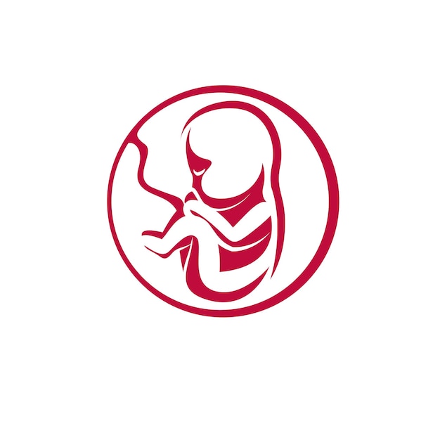 Vecteur illustration vectorielle dessinée à la main de fœtus humain isolée sur blanc. symbole conceptuel de la nouvelle vie.