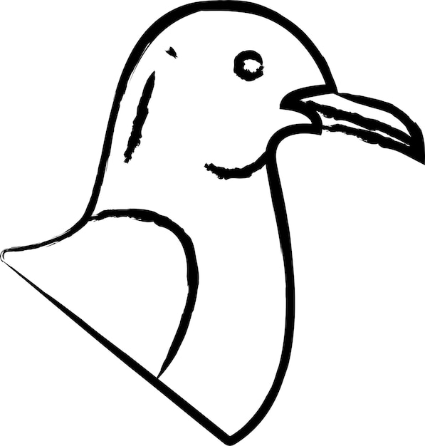 Illustration Vectorielle Dessinée à La Main D'oiseau Mouette