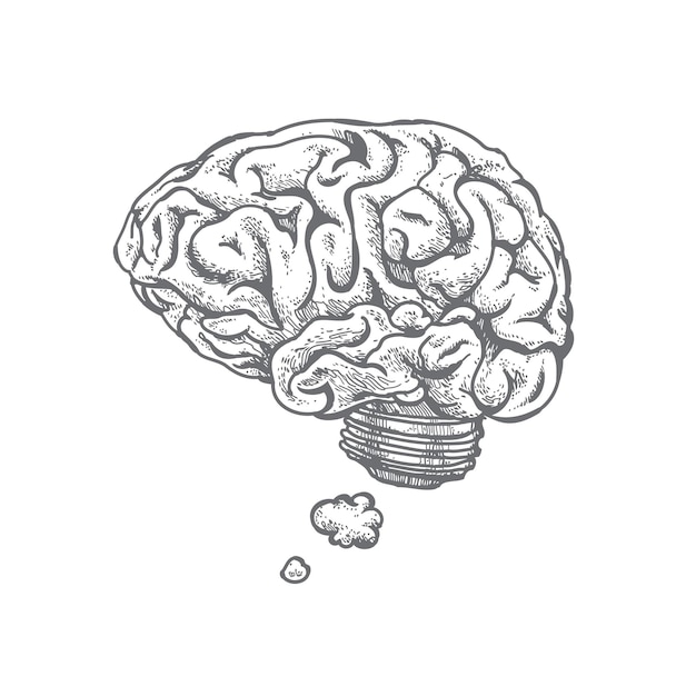 Illustration Vectorielle Dessinés à La Main Du Cerveau Et De L'idée Isolé Sur Blanc