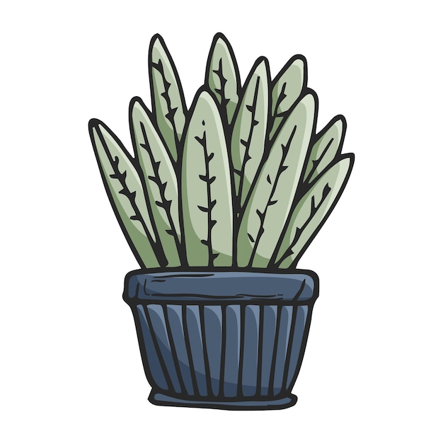 Illustration Vectorielle Doodle De Cactus De Plante D'origine Dans Un Pot