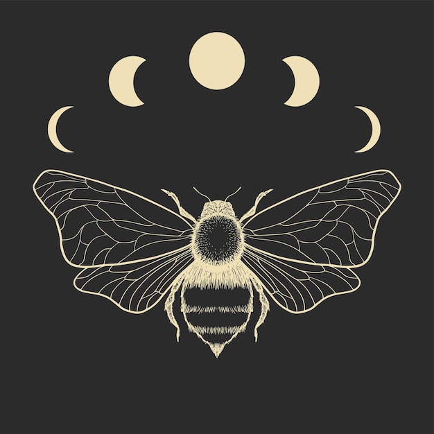 Illustration vectorielle du cycle de la mouche et de la lune Signe mystique abstrait Forme linéaire dorée Pour vous concevez des affiches d'impression de tatouage t-shirts textiles