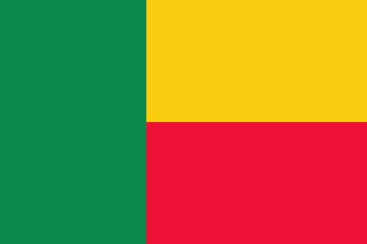 Vecteur illustration vectorielle du drapeau national du bénin