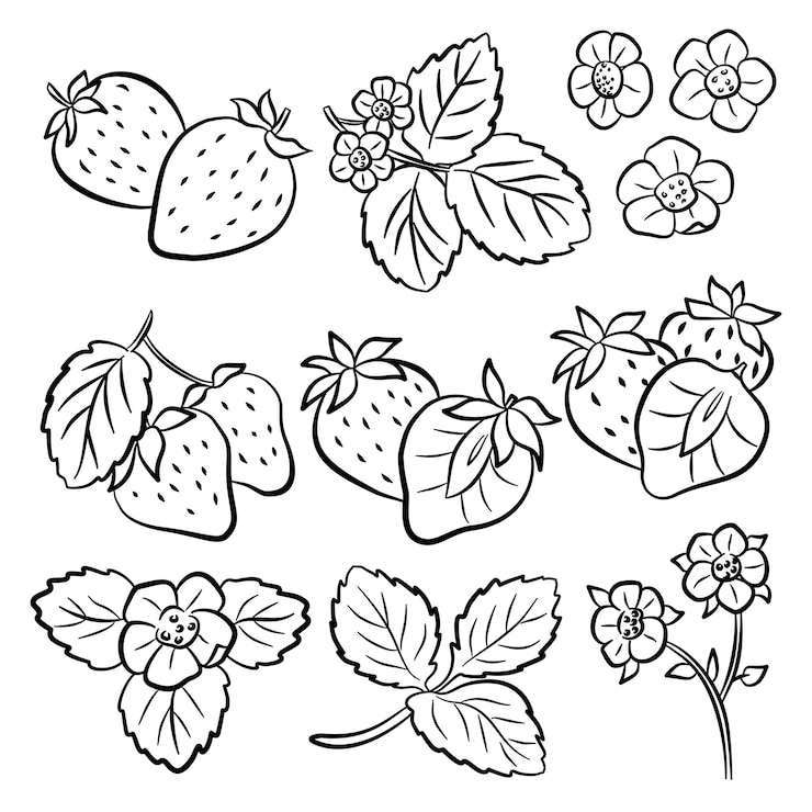 Vecteur illustration vectorielle du jeu d'icônes de fraises à contour