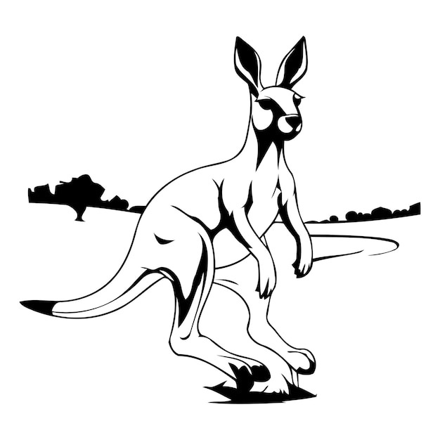 Vecteur illustration vectorielle du kangourou un kangourou isolé sur fond blanc