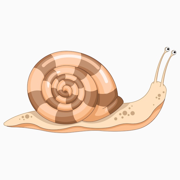 Vecteur illustration vectorielle d'escargot dessin animé mignon