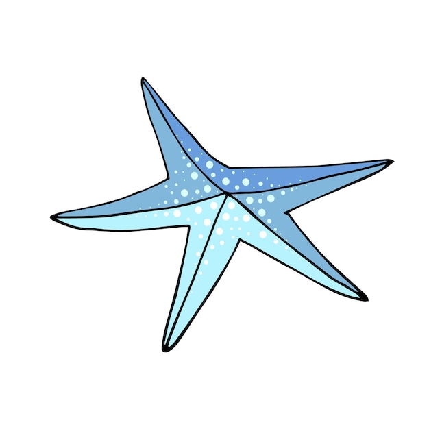 Illustration Vectorielle D'étoile De Mer