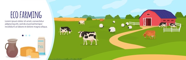 Vecteur illustration vectorielle de ferme agriculture dessin animé paysage de campagne plat avec vache de ferme de bétail broutant sur fond de champ de ferme rural vert