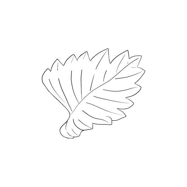 Illustration vectorielle d'une feuille de fraise, une feuille de plante isolée dessinée à la main sur du blanc