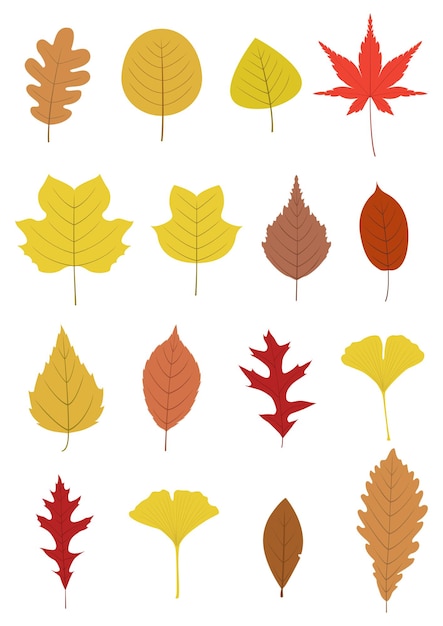 Illustration vectorielle des feuilles d'automne