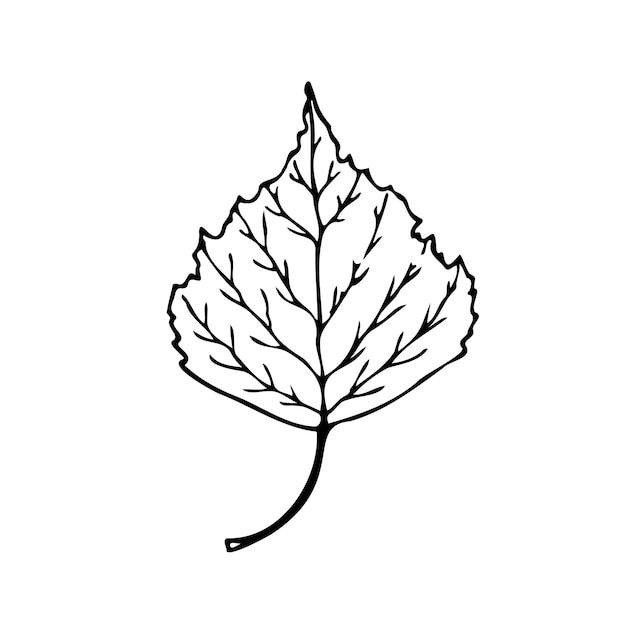 Illustration Vectorielle De Feuilles De Bouleau Dans Le Style De L'art Linéaire Isolée Sur Un Fond Blanc