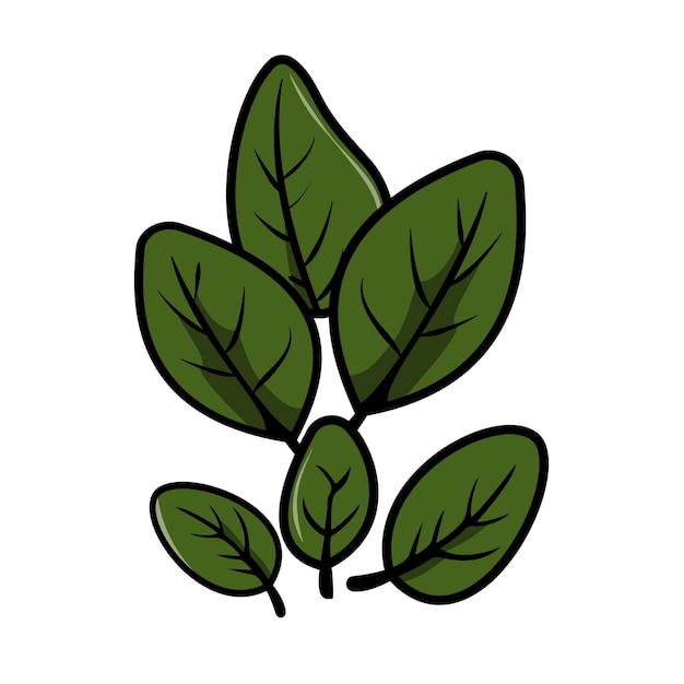 Illustration vectorielle de feuilles d'épinards fraîches