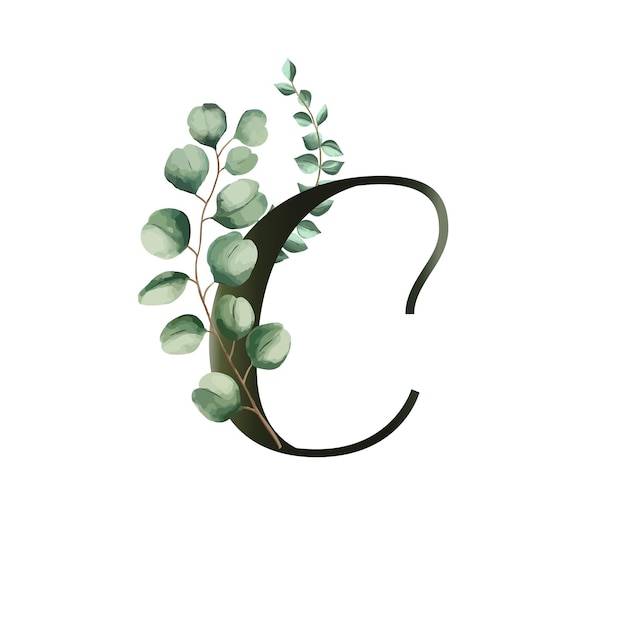 Illustration vectorielle avec feuilles d'eucalyptus Alphabet floral