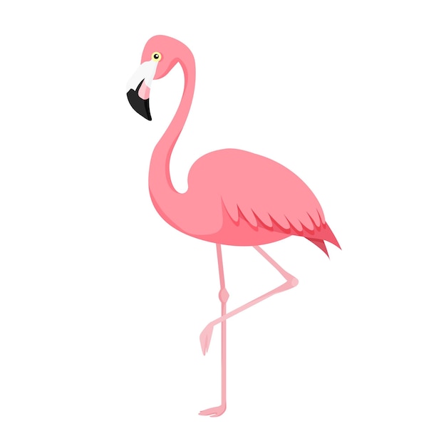 Illustration Vectorielle De Flamant Rose Isolé Sur Fond Blanc