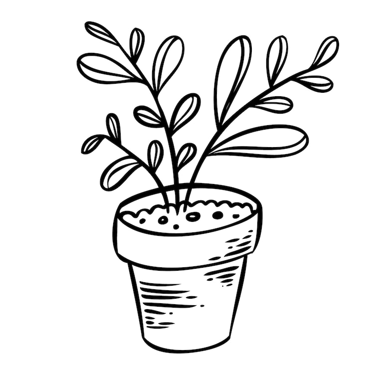 Vecteur illustration vectorielle d'une fleur dans un pot et croquis dessinés à la main