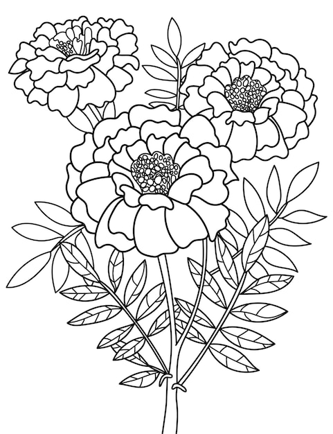 Illustration Vectorielle De Fleur Décrite, Livre De Coloriage Pour Adultes