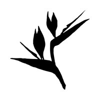 Vecteur illustration vectorielle de fleur de strelitzia silhouette de strelitzia isolée sur fond blanc oiseau de paradis lis de grue icône de fleur de style doodle