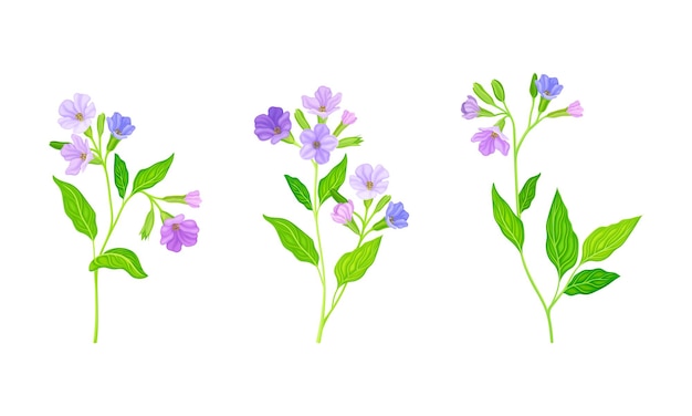 Illustration vectorielle de fleurs de jardin délicates d'été roses et violettes