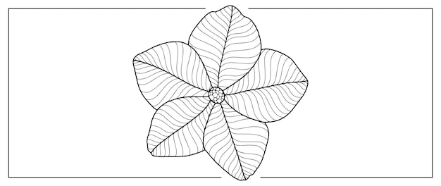 Illustration Vectorielle Floral Noir Et Blanc Pour Les Arrière-plans De Livres à Colorier Couvre L'impression