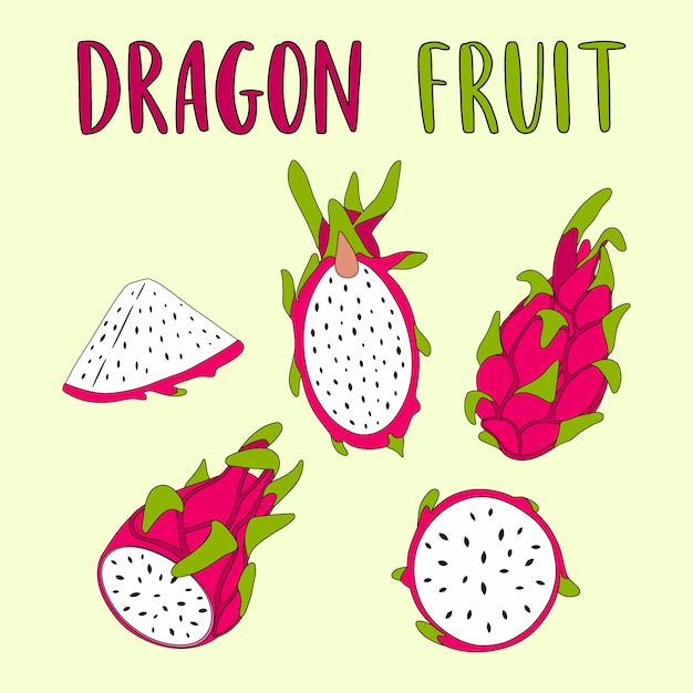 Vecteur illustration vectorielle de fruit du dragon entier et en tranches.