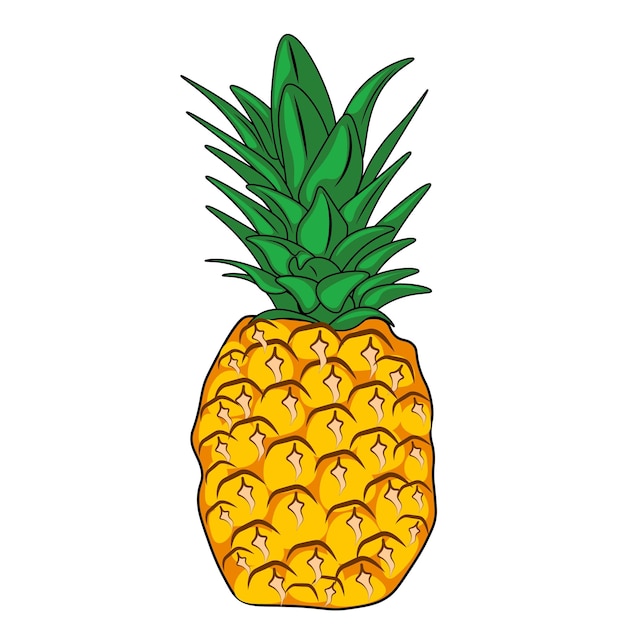 Illustration vectorielle de fruits ananas