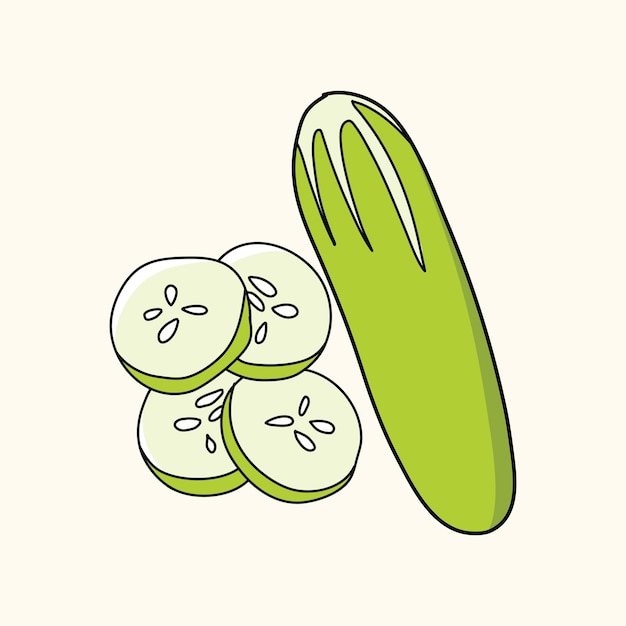 Vecteur illustration vectorielle de fruits concombre