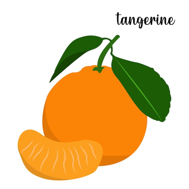 Illustration Vectorielle De Fruits Mandarine