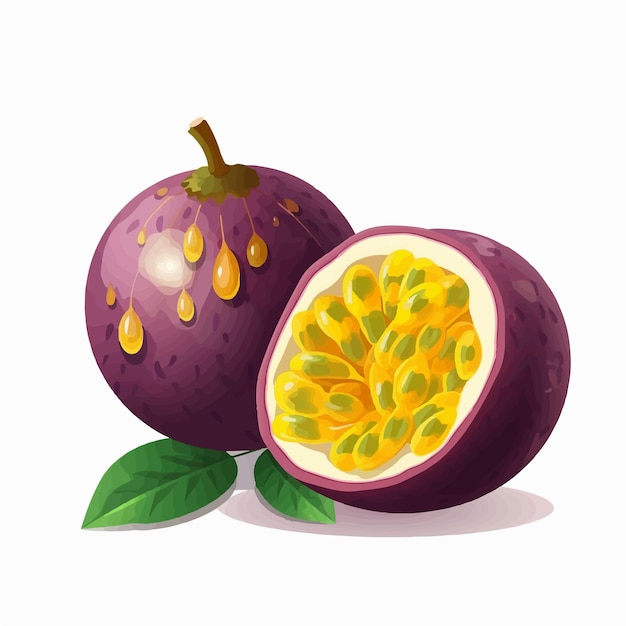 Illustration Vectorielle De Fruits De La Passion Sur Fond Blanc