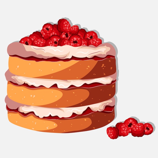Vecteur illustration vectorielle de gâteau pâtissier avec crème pâtissière et framboise isolé sur blanc.