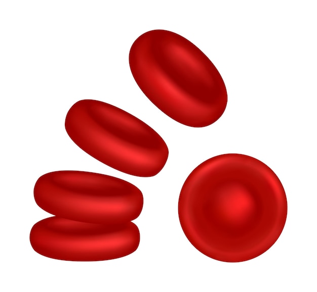 Vecteur illustration vectorielle des globules rouges ou des érythrocytes