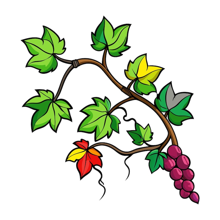 Vecteur illustration vectorielle gracieuse de la branche de vigne pour les créations sur le thème du printemps