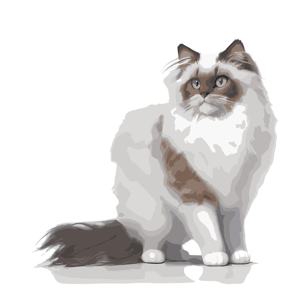 Vecteur illustration vectorielle gracieuse de poupée de chat éditable art vectoriel d'illustration de chat