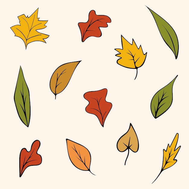 Vecteur illustration vectorielle graphique d'un ensemble de feuilles d'automne sur fond beige