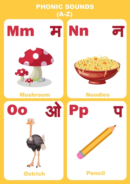 Illustration vectorielle graphique des sons phoniques matériel d'étude modifiable pour les enfants en hindi et en anglais police