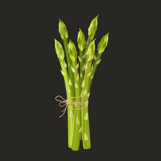 Illustration Vectorielle D'une Grappe Fraîche D'asperges