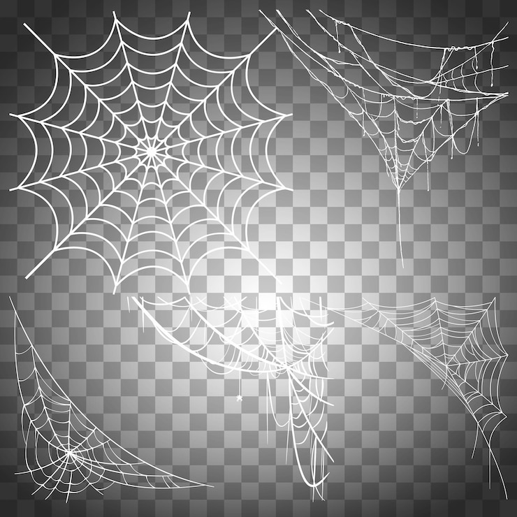 Vecteur illustration vectorielle gratuite d'une toile d'araignée de différentes formes