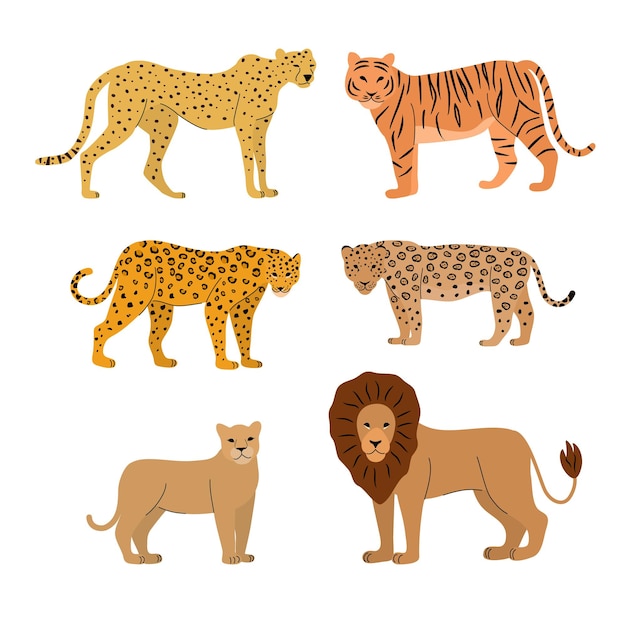 Illustration vectorielle de gros chat