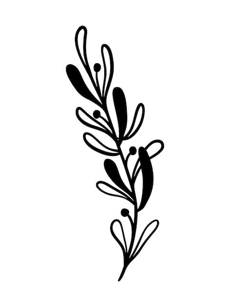 Illustration Vectorielle De Gui. Ilex Floral Dessiné à La Main. élément Linéaire De Noël Dans Un Style Moderne. Silhouette élégante Isolée Sur Fond Blanc. Dessin Au Trait Gui Pour Invitation, Carte, Affiche.