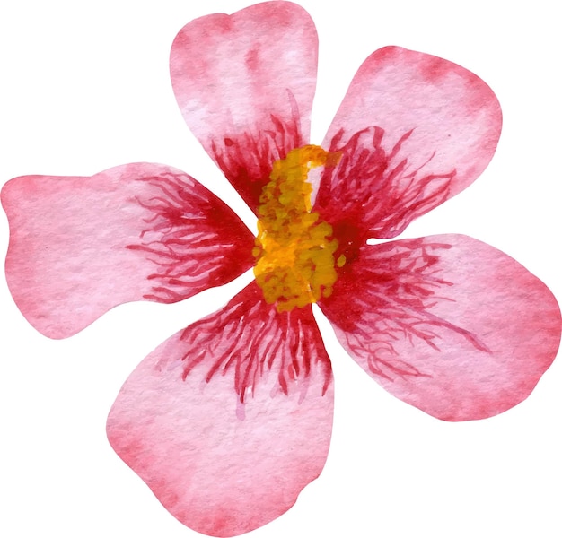 Illustration vectorielle d'hibiscus